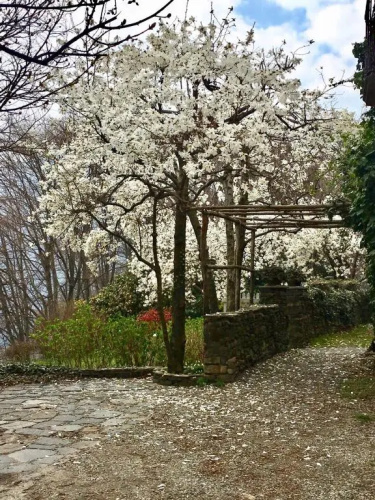 Casa Cesira