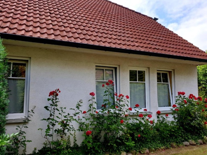 Double Basement Apartment