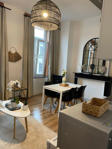 residence rogier afri
