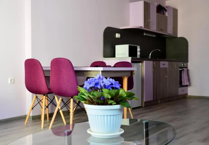 Visito Apart House