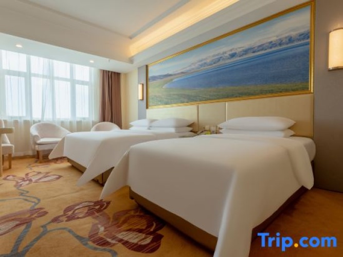 Standard Twin Family room