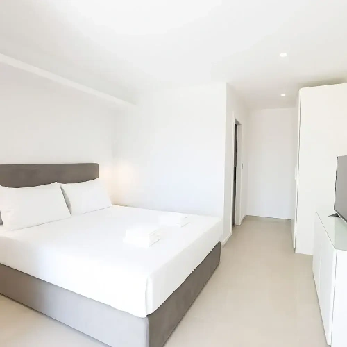 Standard Double room with balcony and with sea view