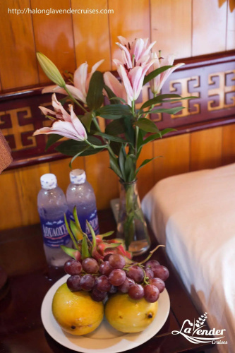 Lavender Elegance Cruise