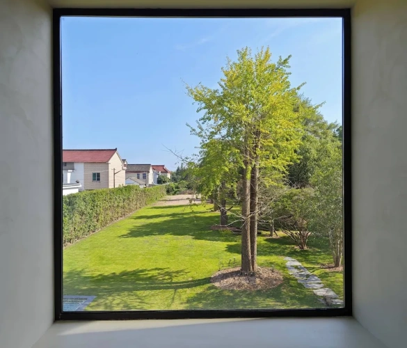 Standard Double room with garden view