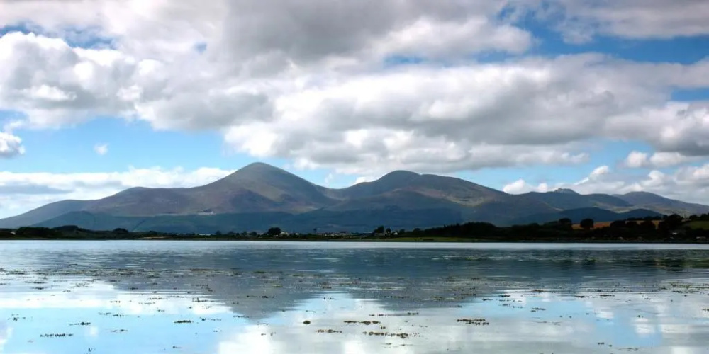 Forest View - Castlewellan