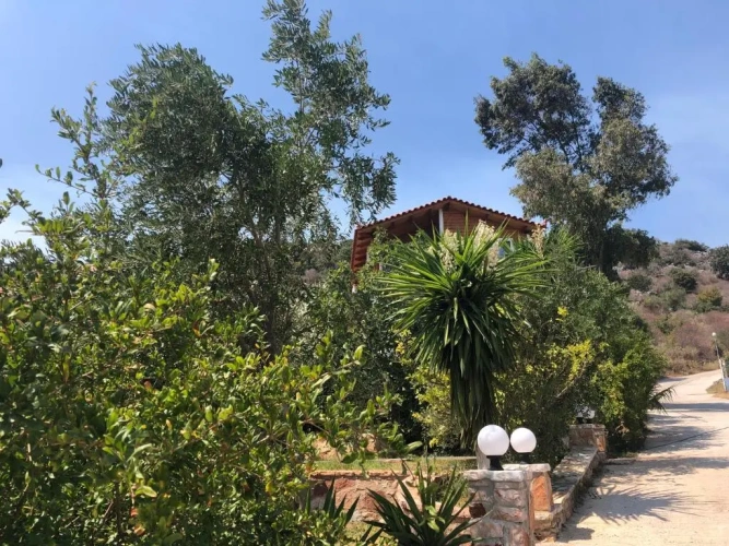 Bungalow