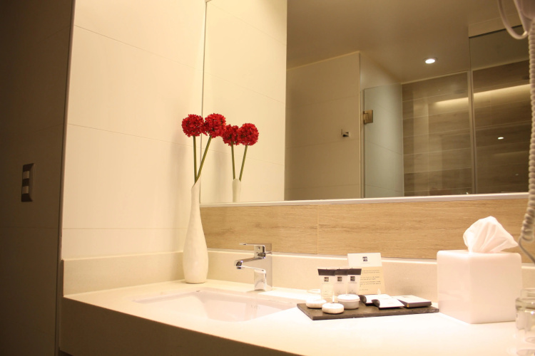 Radisson Blu Plaza El Bosque Santiago photo 11