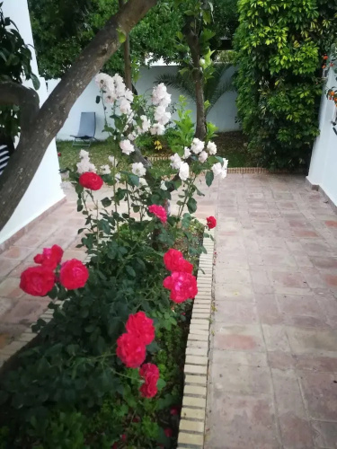 Hostal Frasquita