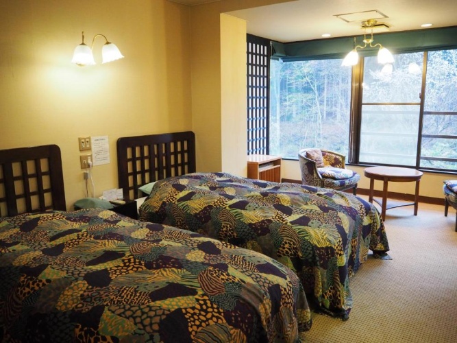 Standard Twin room with mountain view