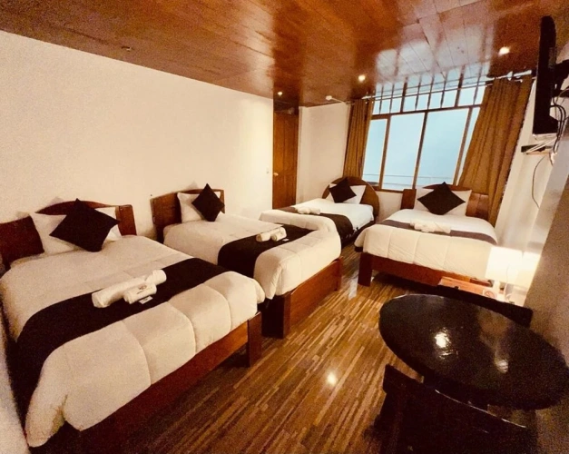 1 Bedroom Standard Quadruple Family room