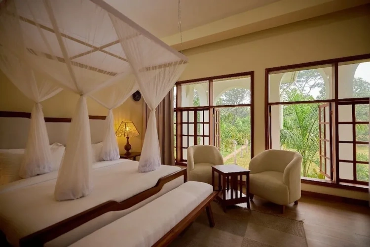 Comfort Double room