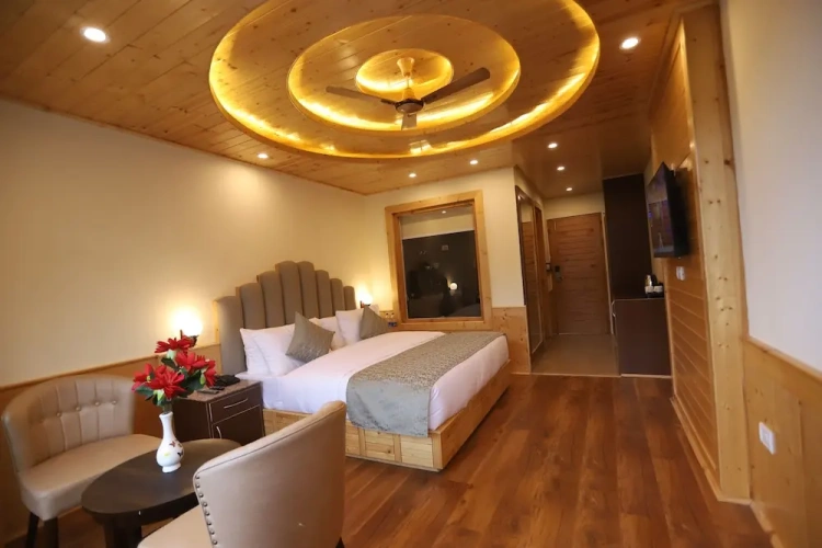 Premium Double room with balcony and with view