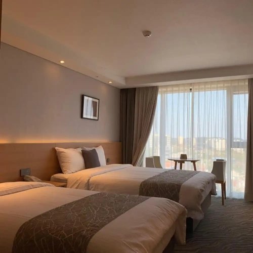 Deluxe Twin room with city view