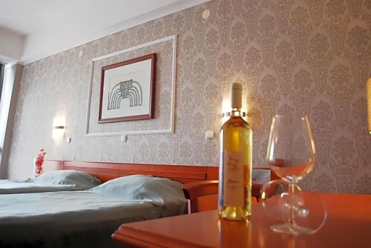 Standard Double room with balcony and with view