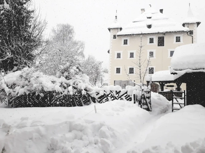 2 Bedrooms Standard Apartment with mountain view