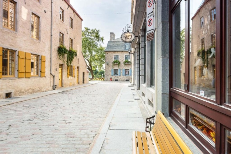1 Bedroom Basement Apartment