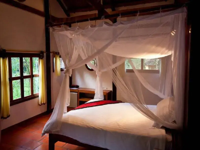 Forest Floor Lodge