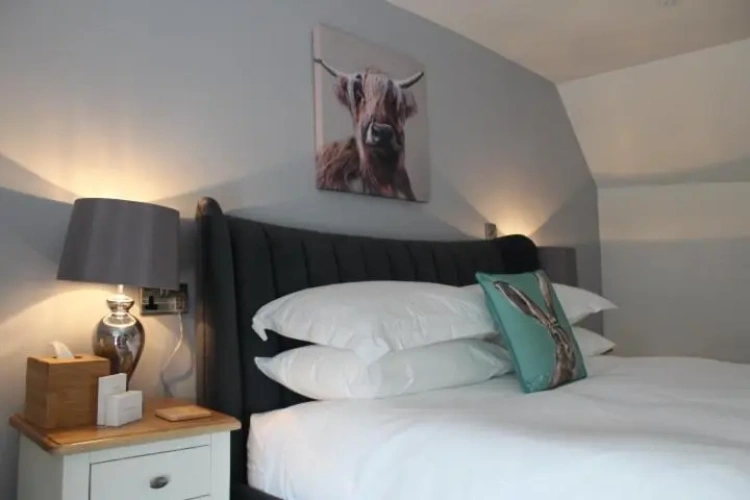 Deluxe Double Family Suite