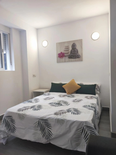 Lofts Arenal