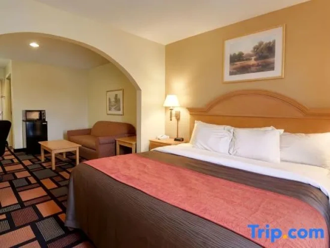 1 Bedroom Suite