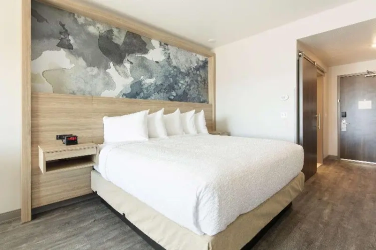 Quadruple Suite