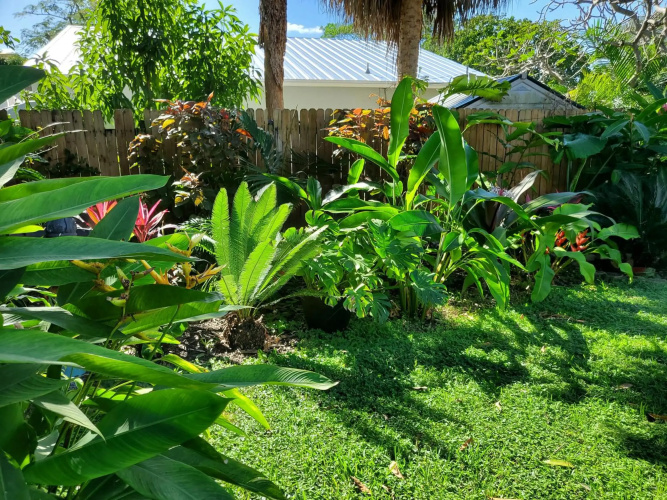 Tropical Hideaway!