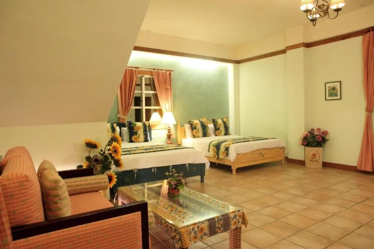 Deluxe Double room with balcony and with view