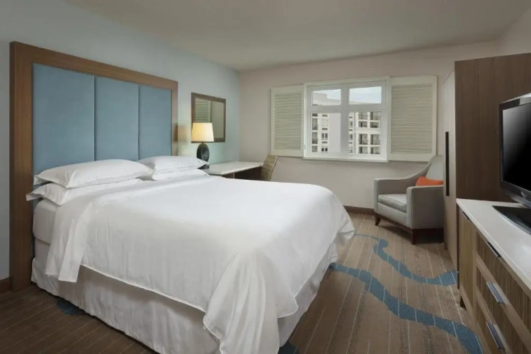 Deluxe Double room with bay view