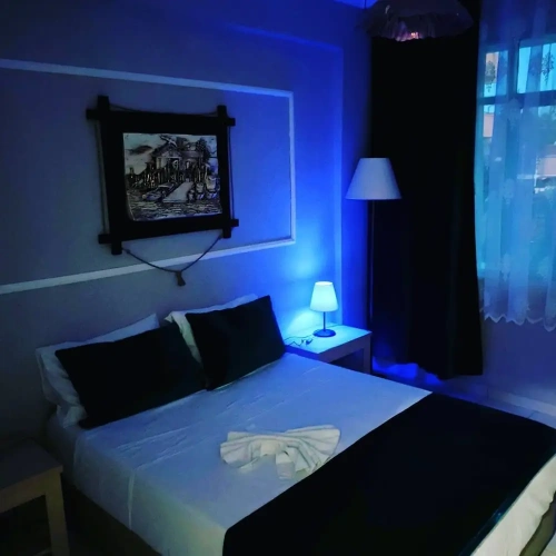 Standard Double room with balcony and with garden view