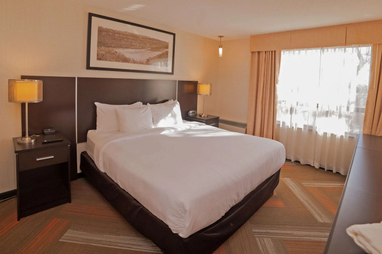 Quality Hotel