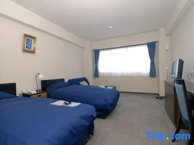 Standard Twin room with ocean view