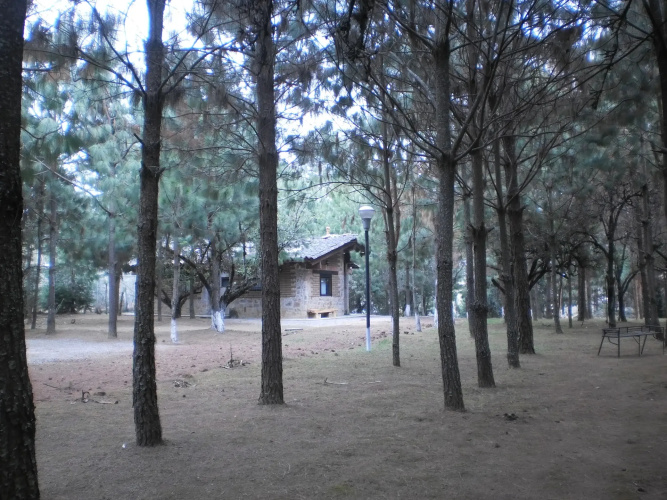 Cabañas Los Cedros