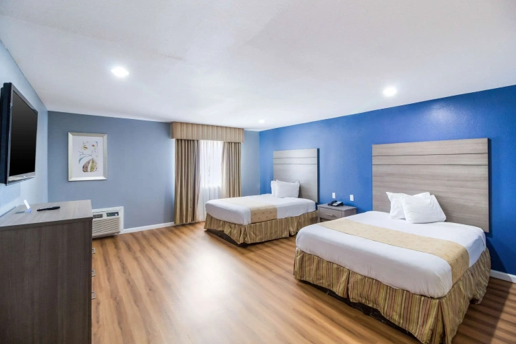 Quadruple Suite