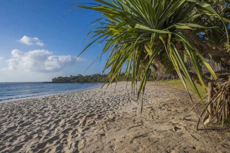 Amani Beach Resort