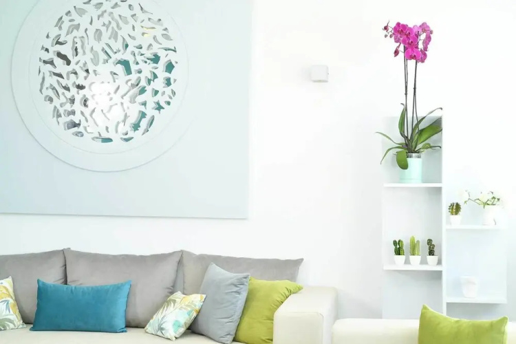 Le Turquoise