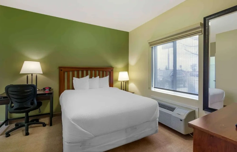 1 Bedroom Double Suite with view
