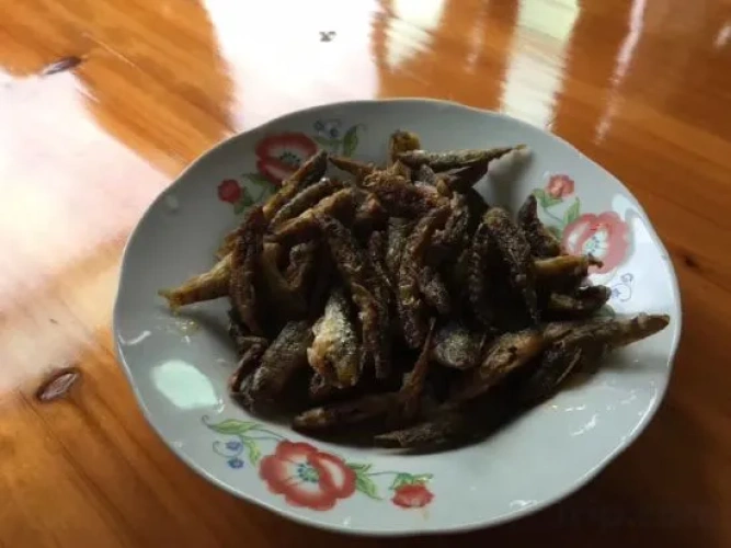 Meal