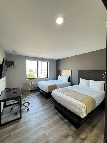 Standard Quadruple room
