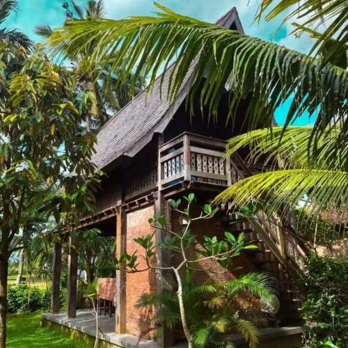 Standard Cottage