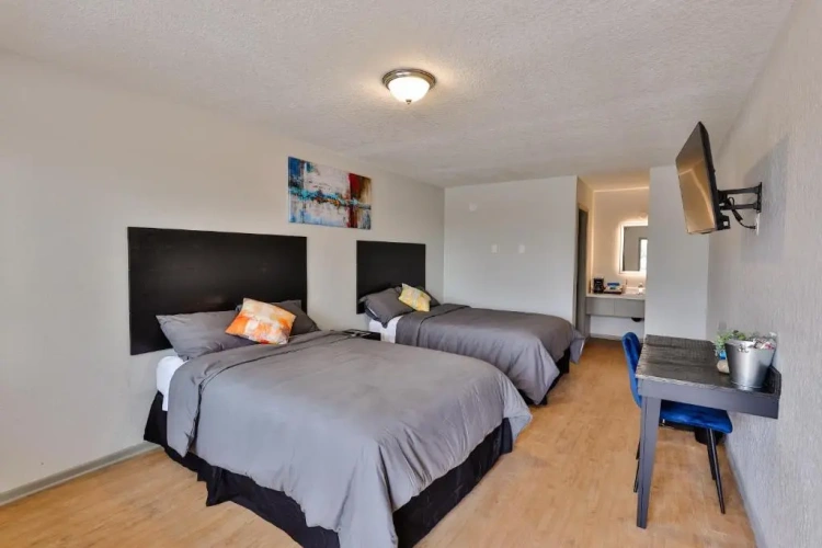 Standard Double Suite