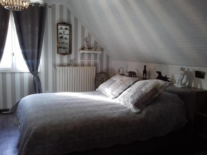 Standard Double room with garden view