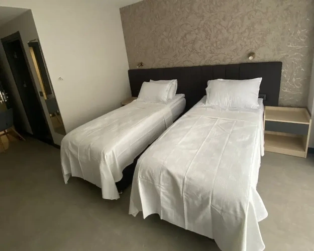 Superior Twin room with mountain view