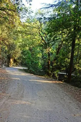Ojaswi Himalayan Resort Mukteshwar