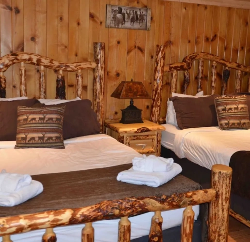 Standard Double room with mountain view