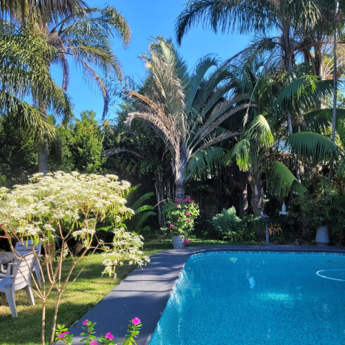 Kennington Palms