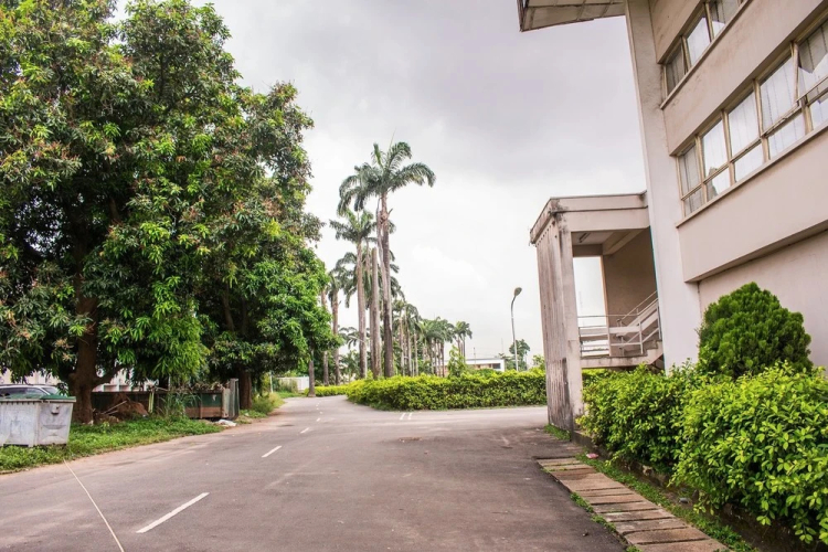 DBi Guest House Hotel Overview