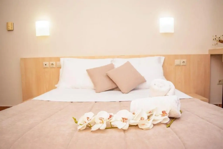 Standard Double room with view