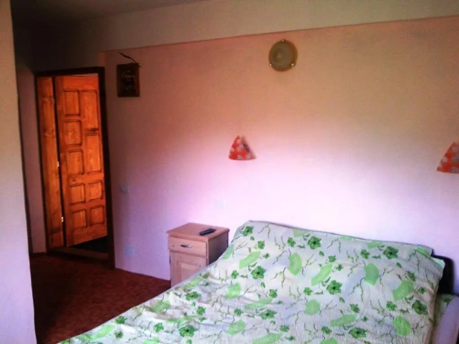 Standard Double room with balcony and with view