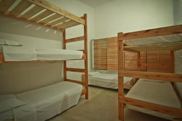 Bed in Dorm