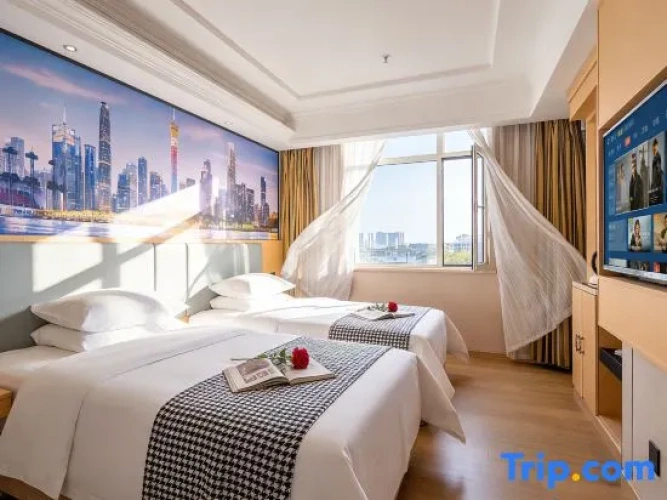 Twin Suite